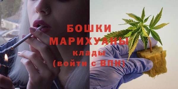 винт Белокуриха