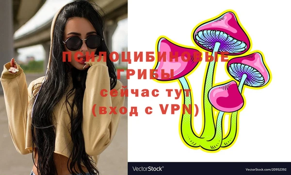 винт Белокуриха