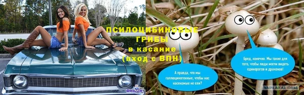 винт Белокуриха