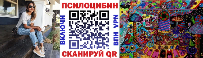 ссылка на мегу ONION Мглин Псилоцибиновые грибы Psilocybe